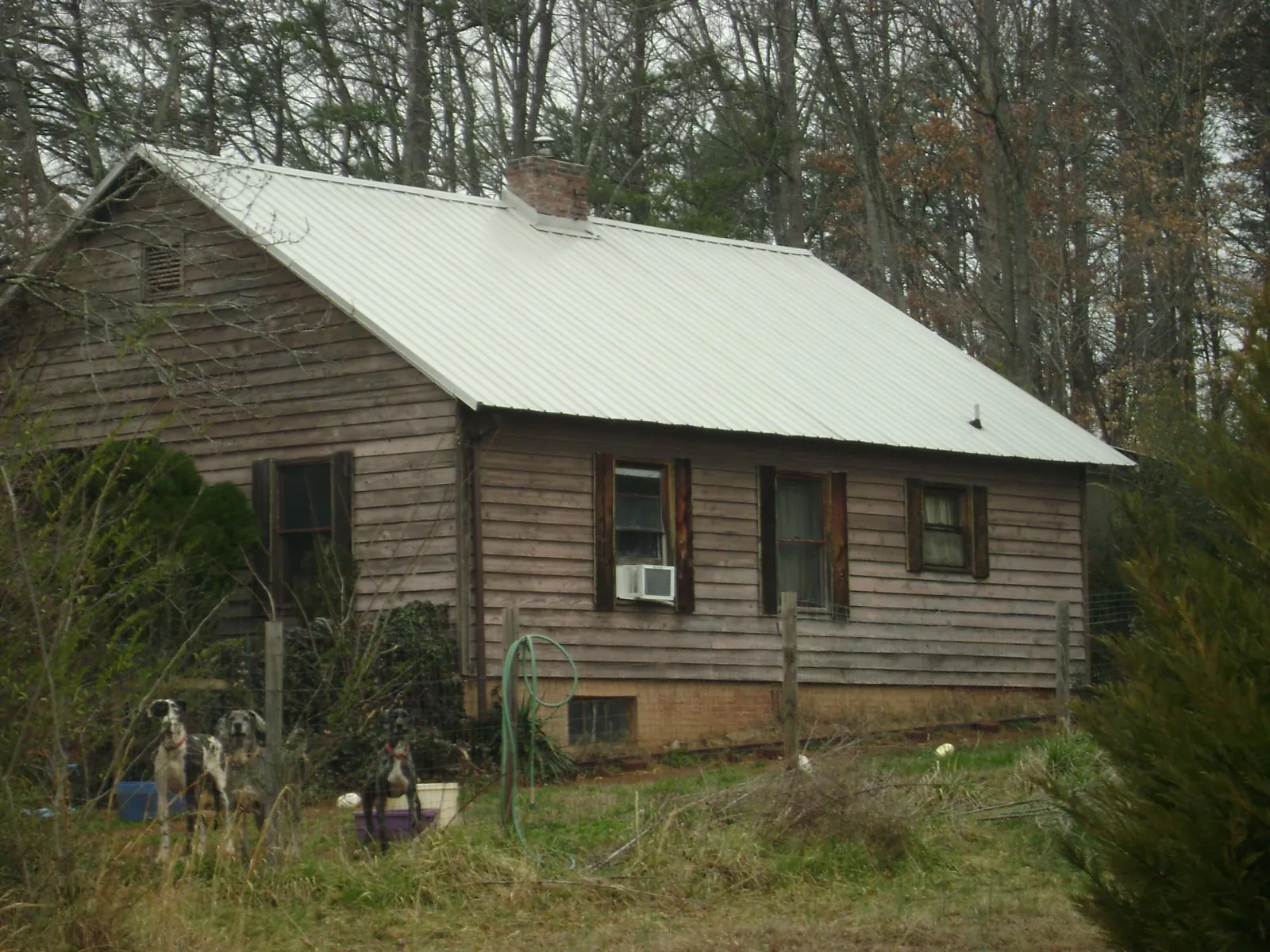 White metal roof on an old wood sided farmhouse, from a Asphalt Shingle Roof Repair job in Woodhaven
